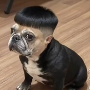 Jonz1a avatar