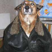 Hash.J avatar