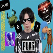 lottuk67pokoyo_so2_30fps avatar